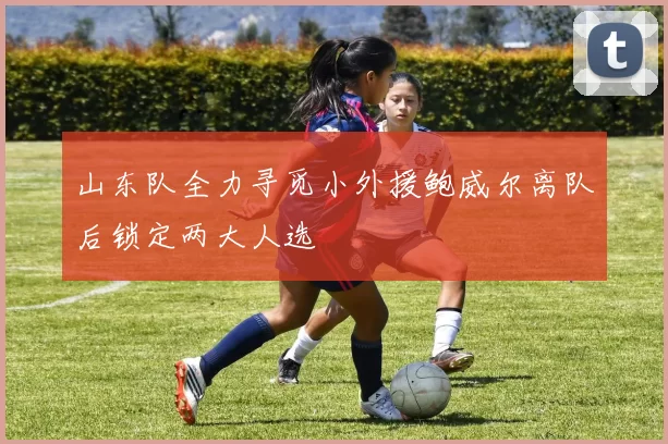 山东队全力寻觅小外援鲍威尔离队后锁定两大人选